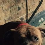 Manuel Burton - @mannyb5868 - Instagram