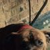 Manuel Burton - Facebook