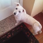 Jose Manuel Cabada Murillo - @cabadamurillo - Instagram