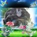 Manuel Cajas - Facebook