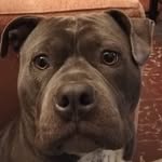 Manuel Eduardo Terreros Cajas - @mterreros_1803 - Instagram