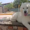 manuelcallb - @callmanuel - TikTok