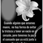 Manuel Calle - @manuel.calle.52 - Instagram