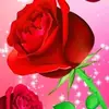 Manuel Calle - @manuel.calle675 - TikTok