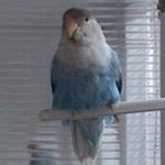 Jose Manuel Campaña Fernandez - @campanafernandez - Instagram