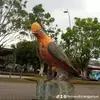 manuelcangas0 - @manuelcangas0 - TikTok