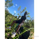 Manuel Capellan - @manuel.capellan.12576 - Instagram