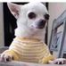 Manuel Carson - Facebook