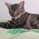 Manuel Carson Chimeta Palacios - @manuelcarsonchimeta - Instagram