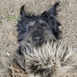 Manuel Carson-Medina Sena - @trailmutts_t4r - Instagram