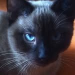 Manuel Casal Salgado - @manuelcasalsalgado - Instagram