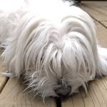 @manuel_castells - Instagram