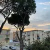Manuel Catania - @manuel.catania53 - TikTok