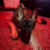 Manuel Catano - @lllmanuel.sc - TikTok
