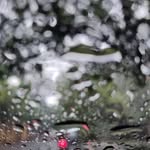 Manuel Catillo Paiz - @manuelcatillopaiz - Instagram