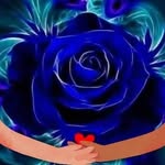 Manuel CECILIO BISPO CERQUEIRA - @manuelceciliobispo - Instagram