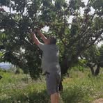 Manuel Cerqueira - Facebook