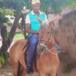 Manuel Cerqueira da cruz - @manuelcerqueirad - Instagram