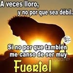 Manuel Chan - @manuelchan1108 - Instagram