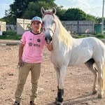 Manuel Chan - @manuel_chan.1 - Instagram