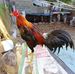 Manuel Chan Gonzalez - Facebook