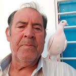 Manuel Chía Gutiérrez - @manuelchiagutierrez - Instagram