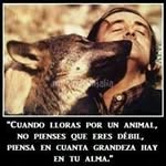 Manuel Cid Lora - @manuelcidlora - Instagram