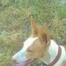 Manuel Salvador Cobos Lopez - Facebook