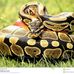 Manuel Collier - Facebook