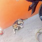 manuel colunga saldaña - @manuelcolungasald - Instagram