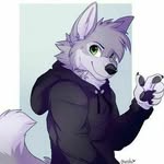 Manuel Conrad - @gamer_husky_ - Instagram