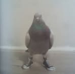 Manuel Cooper - Facebook
