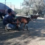 Manuel Cordon Borrachero - @cordonborracheromanuel - Instagram