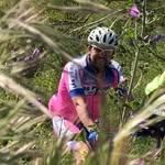 Manuel Cordon Roman - @manuelcordonroman - Instagram