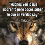 Manuel Corea - @corea.manuel - Instagram