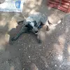 Manuel Coria85 - @manuelcoria85 - TikTok