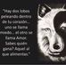 Manuel Coria - Facebook
