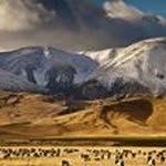 Manuel Corpus - @manuel.corpus - Instagram