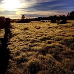 MANUEL CORRAL - @naturalistravel - Instagram