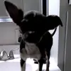 Manuel Corral - @manuel.corral0 - TikTok