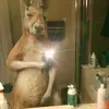 Manuel De luna - @manuel.de.luna4 - TikTok