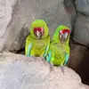 Manuel Donis - @manuel.donis8 - TikTok