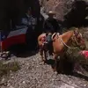 Manuel Donoso - @manuel.donoso55 - TikTok