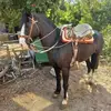 Manuel Donoso - @manuel.donoso01 - TikTok