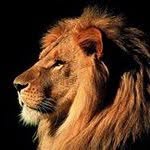 Manuel Duque - @borgesduque - Instagram