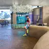 compa meño - @manuelesteban986 - TikTok