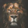 Manuel esteban - @manuel.esteban192 - TikTok