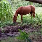 Manuel Eudave Naranjo - Facebook