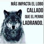 Manuel Farfan Machado - @farfanmachado - Instagram