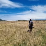 Manuel Farmer - @manufarrmer - Instagram